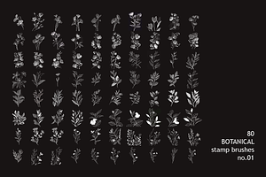 80 Photoshop Botanical No.01 Brushes