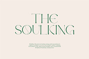 Brown Vegas | Beautifull Sans Serif, a Serif Font by WhymoreArt (Thumbnail 8 of 10)