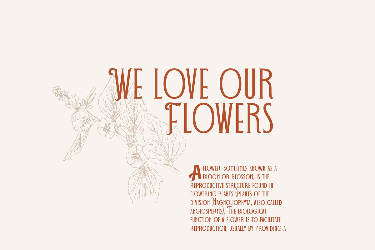 DECOHEAD Serif Elegant Art Deco Font, a Font by Headfonts (Photo 8 of 10)