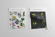 Wild meadow flowers $ herbs, an Object Graphic by yttadesign (Thumbnail 10 of 17)