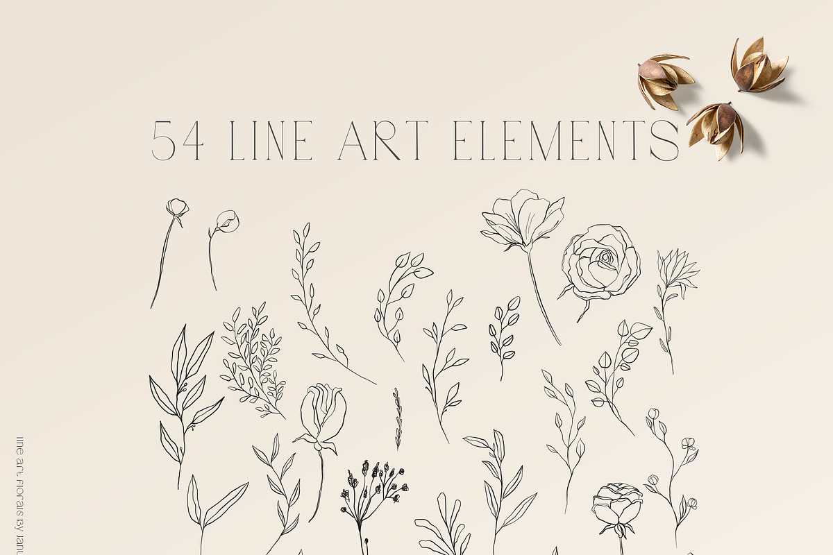 Floral Line Art & Botanical Clipart, an Illustration by January Bloom (Photo 7 of 13)