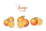 Orange clipart, a Decorative Illustration by 7nov.studio (Thumbnail 4 of 6)