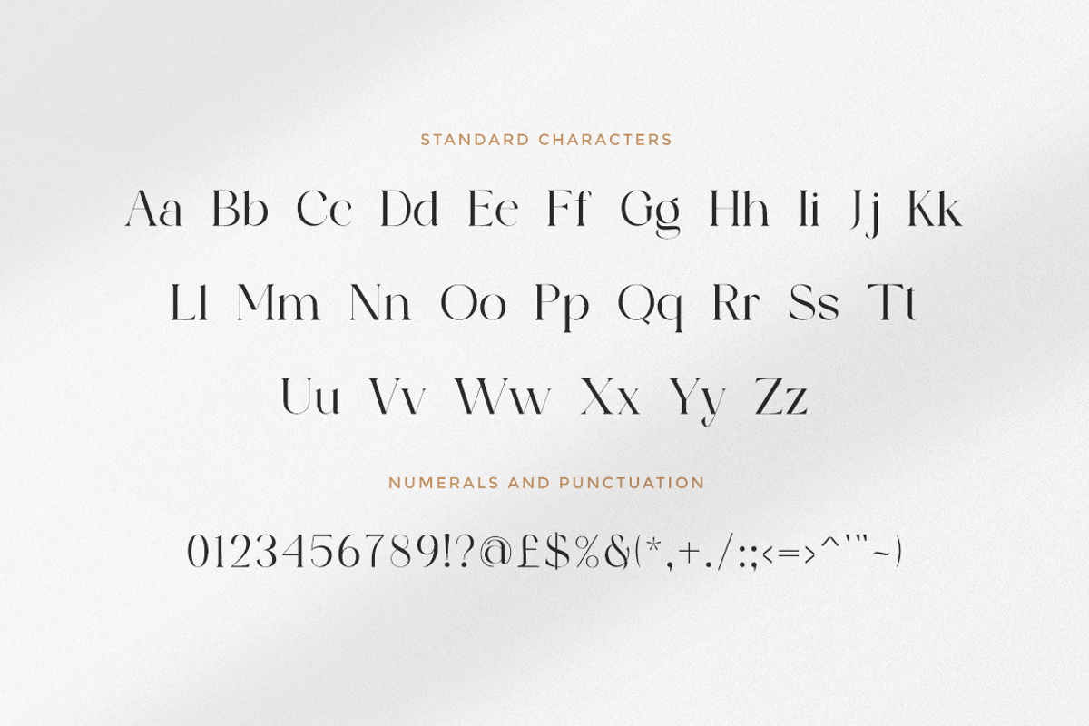 The Devine - Modern Stylish, a Serif Font by RockboyStd (Photo 9 of 12)