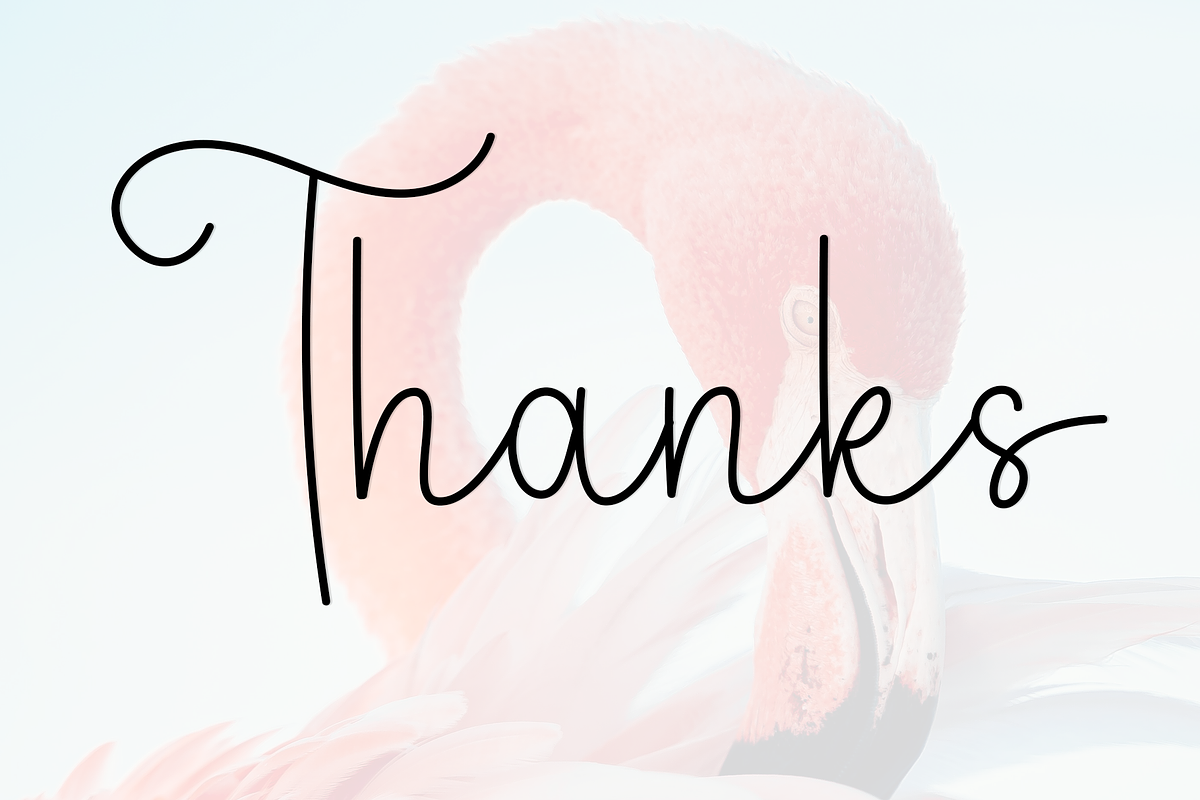 Beauty Flamingo, a Handwritten Font by InermediaSTUDIO (Photo 7 of 7)