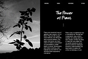 Bencord - Editorial Handwriting Font, a Handwritten Font by Graphicfresh (Thumbnail 4 of 10)