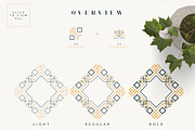 Vintage Elegance Creator -50%, a Branding & Logo Template by VP Fonts (Thumbnail 2 of 7)