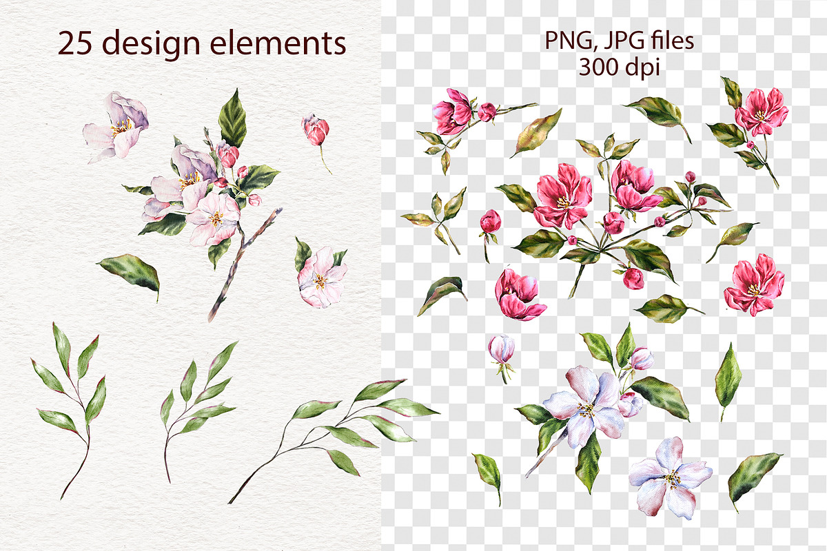 Apple tree flowers watercolor set, a Decorative Illustration by Lidia's watercolor world (Photo 5 of 9)