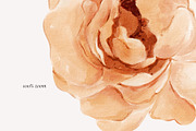 AUTUMN GARDEN watercolor flowers, a Seasonal Illustration by Yuliia Lashevska (Thumbnail 4 of 14)