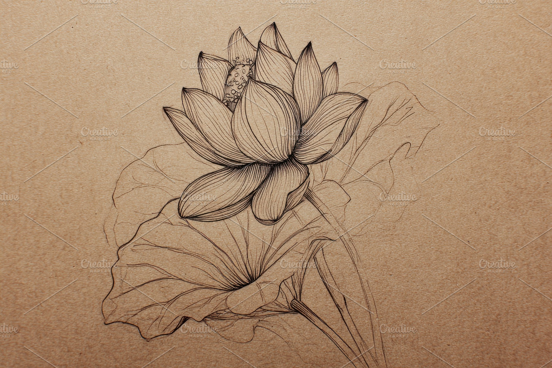 Drawing of a lotus flower on brown, a Photo by Pavel_design