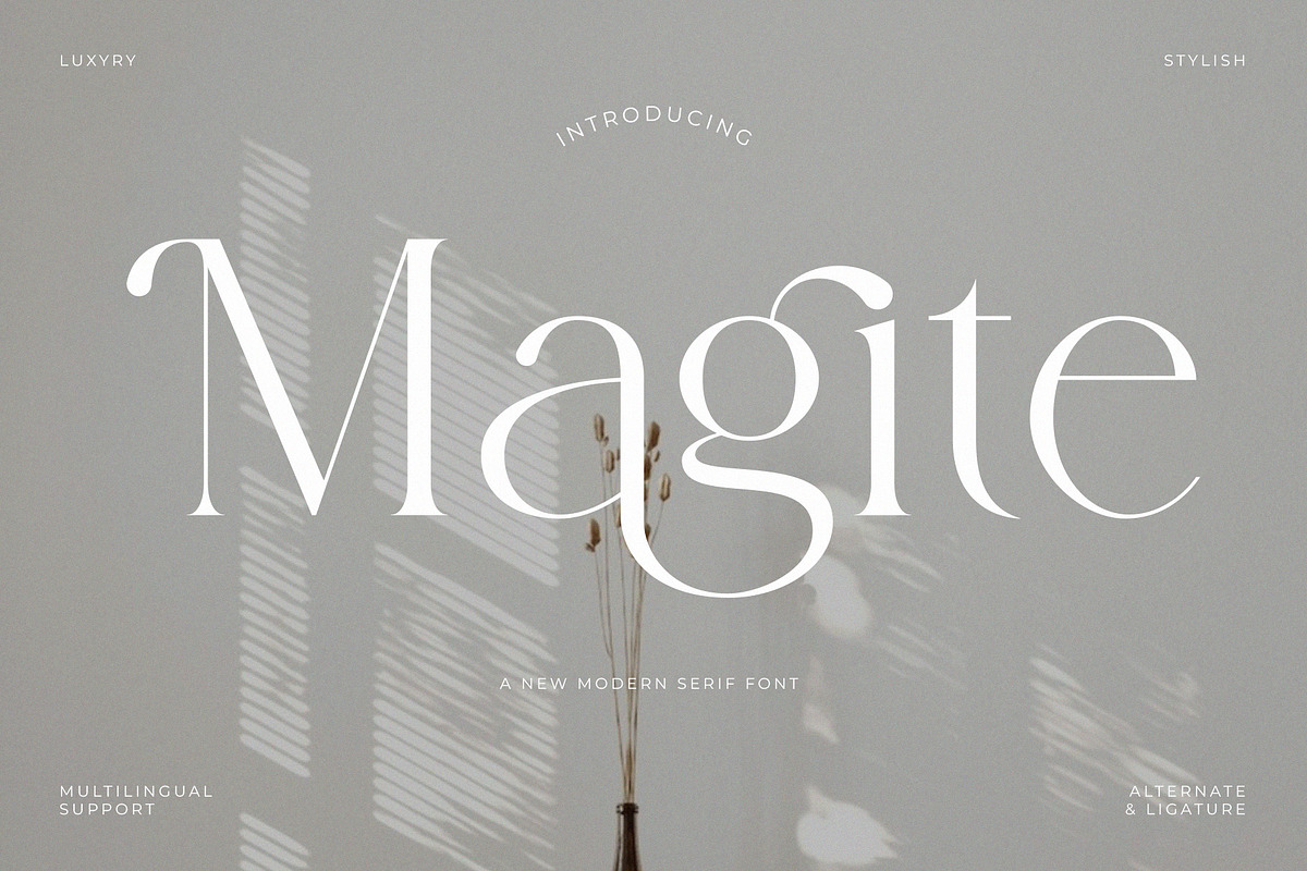 Magite - A New Modern Serif Font, a Serif Font by GridlineType (Photo 1 of 10)