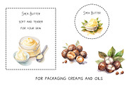 Watercolor Shea nuts plant, berry, an Object Graphic by KomtsyanTatyanaArt (Thumbnail 2 of 3)