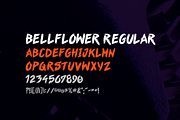 Bellflower Brush Font, a Script Font by EvanEckard (Thumbnail 2 of 3)