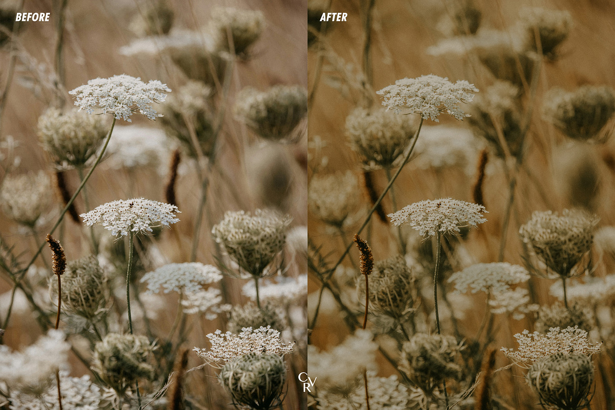 25 Cottagecore Lightroom Presets, a Preset Add-On by CVR Presets (Photo 3 of 7)