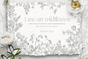 Line Art Wildflowers Clipart