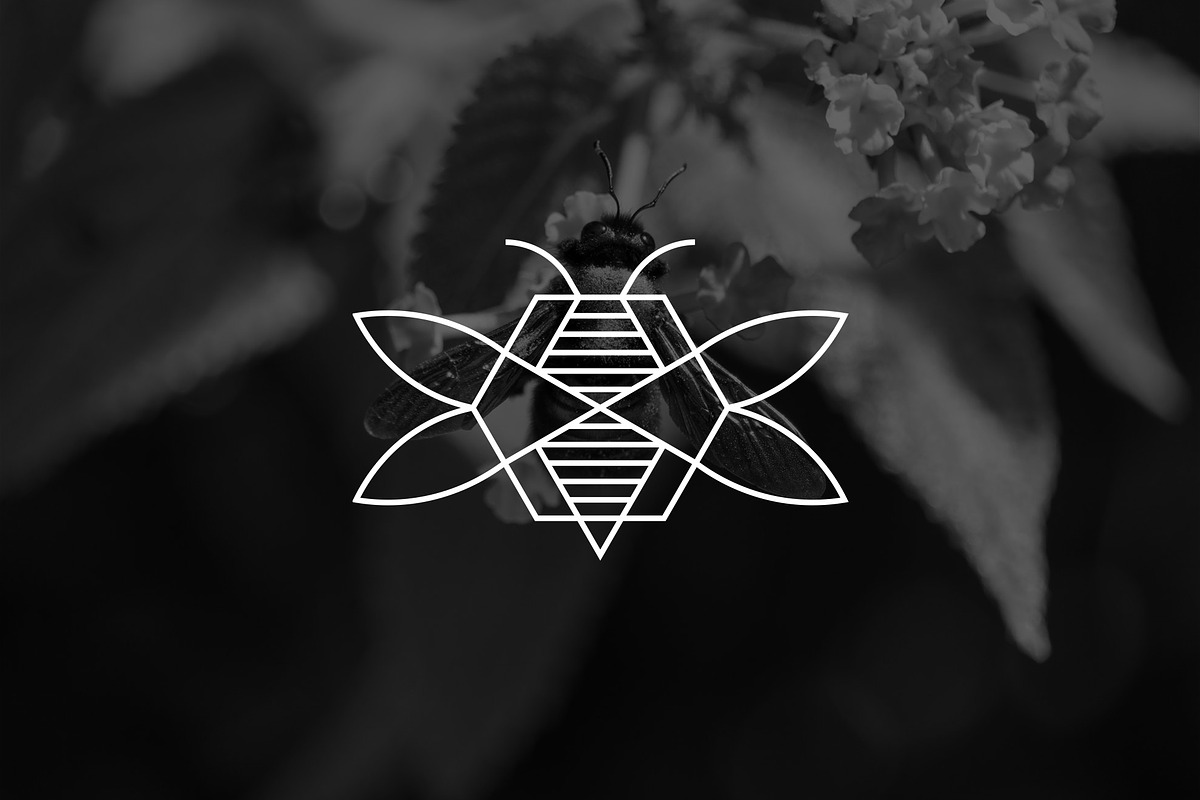 Geometric Luxury Bee Logo, a Branding & Logo Template by Luxury Logos (Photo 2 of 4)