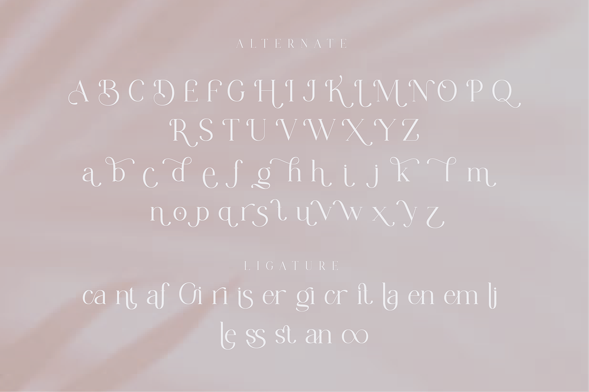 Chanley - Modern Font Serif, a Serif Font by Flawless And Co (Photo 6 of 10)
