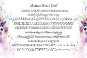 Madison Street Serif, a Serif Font by STUDIOWAYS (Thumbnail 4 of 4)