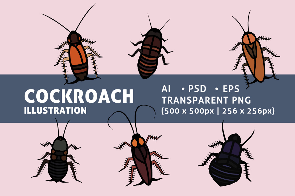 Various Cockroaches, an Animal Illustration by audeemirza