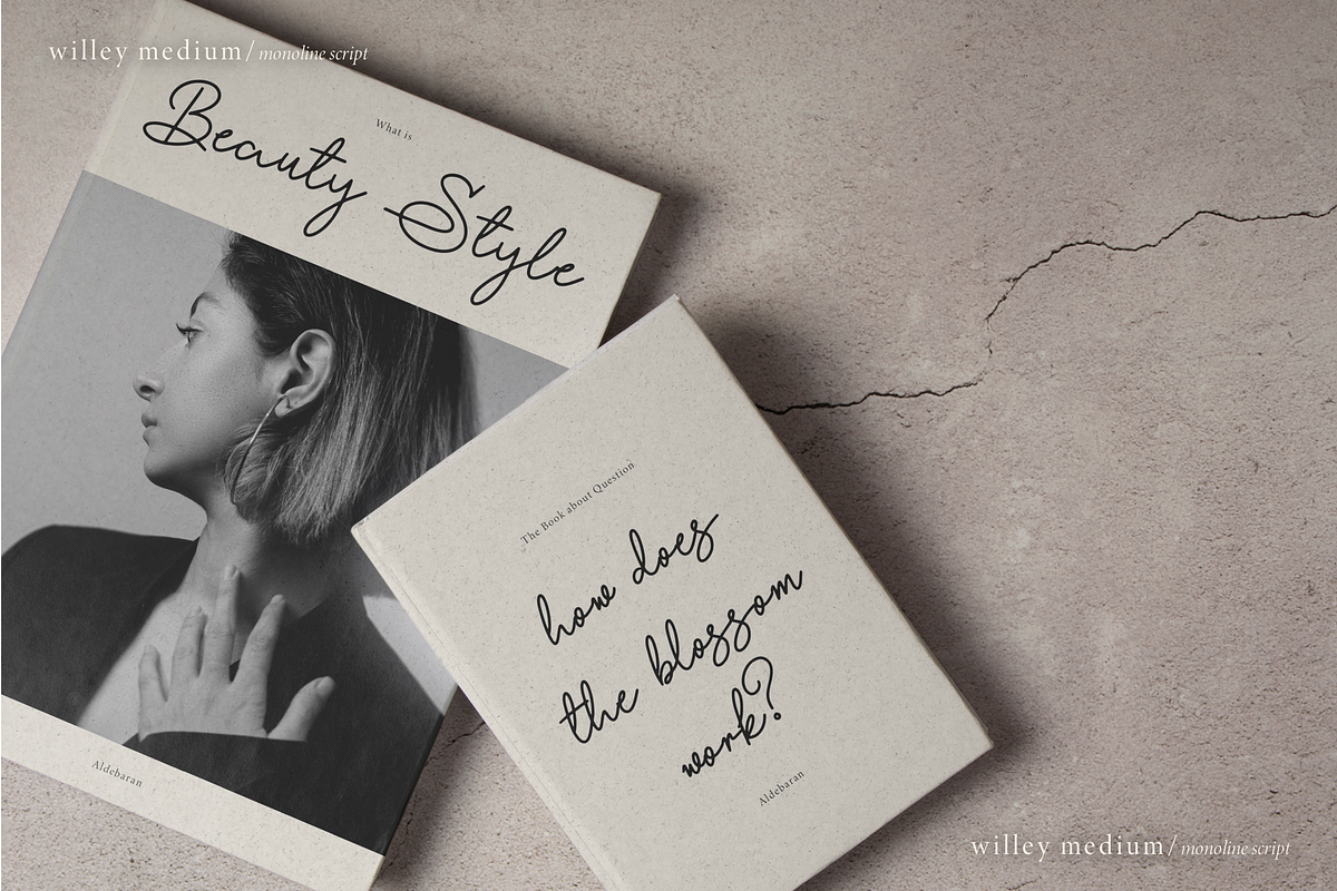 Willey Medium | Monoline Script Font, a Script Font by Denustudios (Photo 12 of 16)