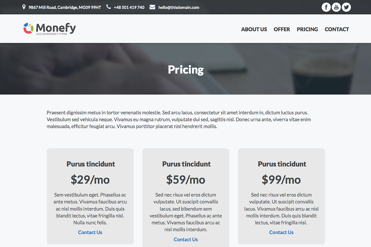 Monefy - best for small business, a WordPress Template by bozekmichal (Photo 4 of 5)