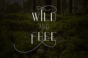 Maria Serif Font -50%, a Serif Font by VP Fonts (Thumbnail 4 of 9)