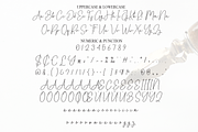 Daniel Signature | Script Font, a Handwritten Font by Scratchones (Thumbnail 7 of 8)