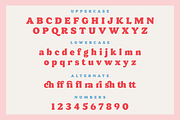 Donut Shop - Retro Rounded Serif, a Serif Font by Surplus Type Co (Thumbnail 2 of 8)