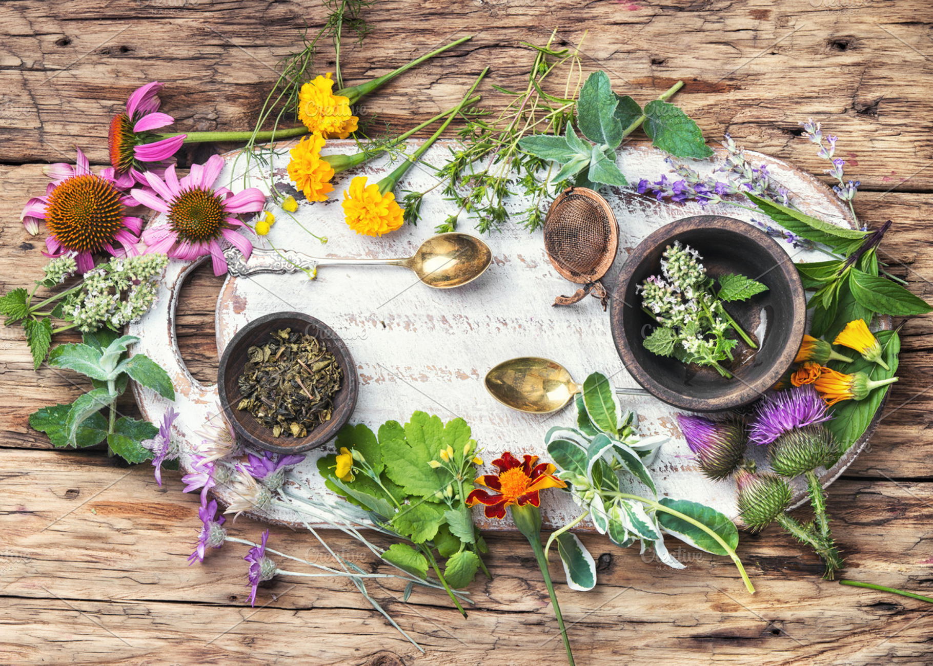 Herbs medicine containing herb, healthy, and plant, a Health & Medical Photo by MLunov MLunov