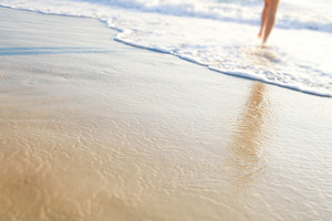 Beach Walking, a Nature Photo by THP Creative