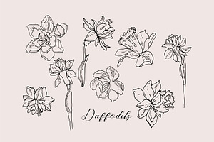 Sketches Of Flowers Line Vector