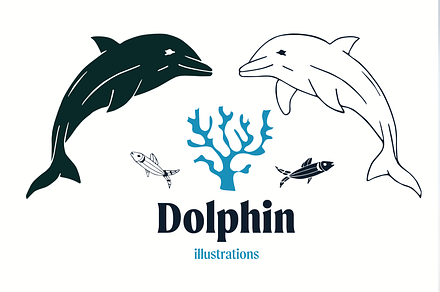 Hand drawn dolphin illustrations