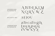Bilgie - Chique Serif Font, a Serif Font by zeenesia (Thumbnail 19 of 19)