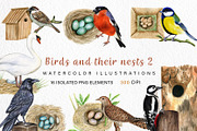 Watercolor Birds and their Nests PNG, an Illustration by svetodesign (Thumbnail 1 of 4)