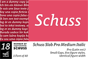 SchussSlabProMedIta No.18 (1 Font), a Slab Serif Font by typic schuss (Thumbnail 1 of 6)