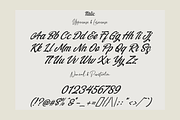 Blackbird - Script Typeface, a Script Font by overlaytemplates (Thumbnail 6 of 7)