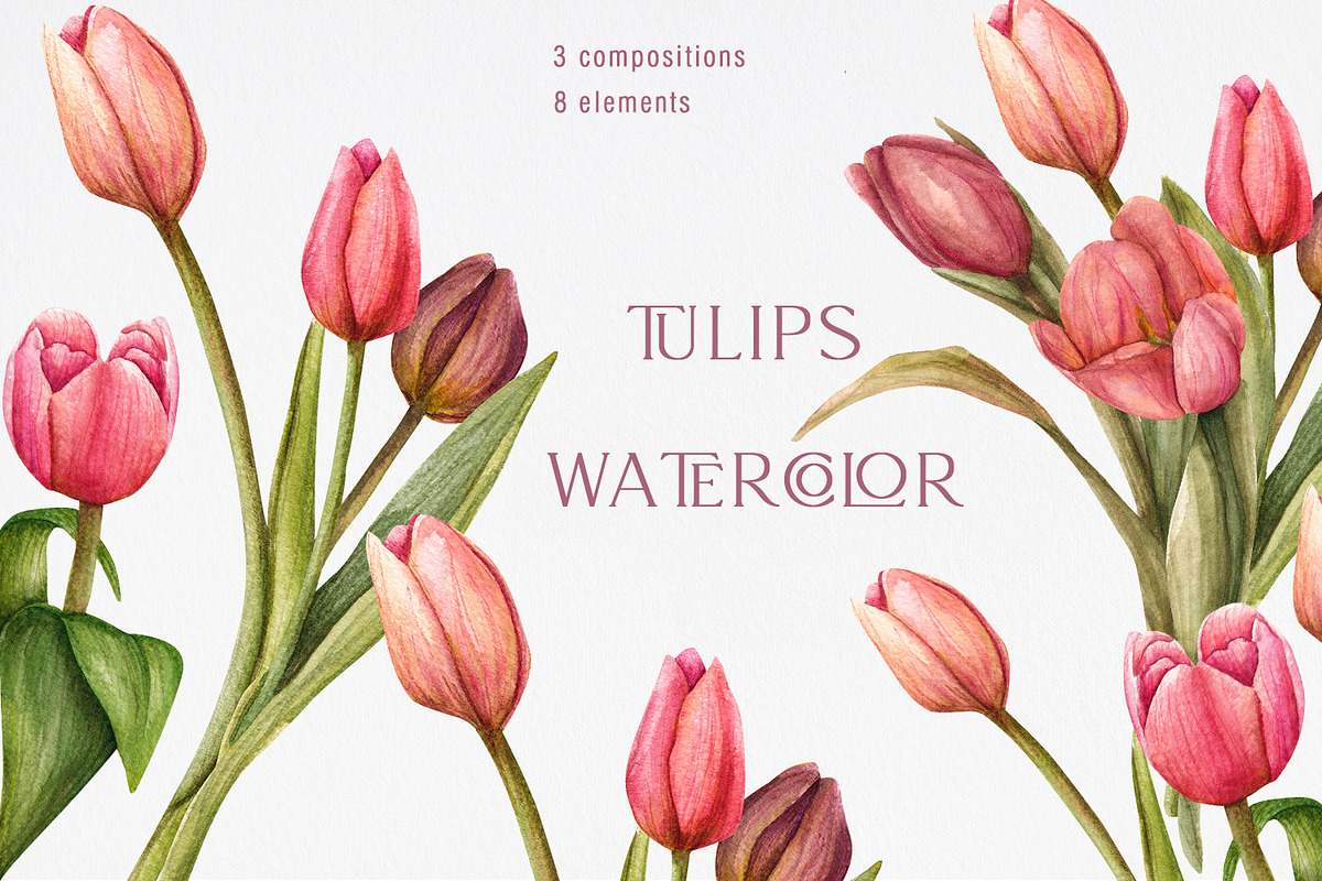 Tulips watercolor clipart, a Decorative Illustration by NatalieArtsDenysenko (Photo 1 of 4)