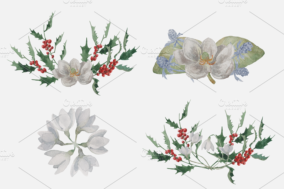 Winter Wildflowers, an Illustration by Elisa Ursa (Photo 7 of 7)