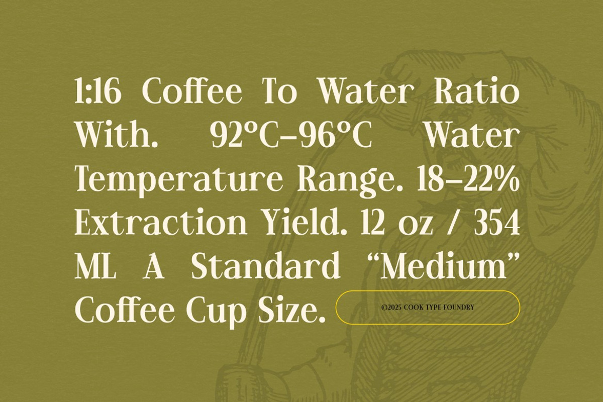 Cloofer, a Serif Font by graphicook (Photo 6 of 10)