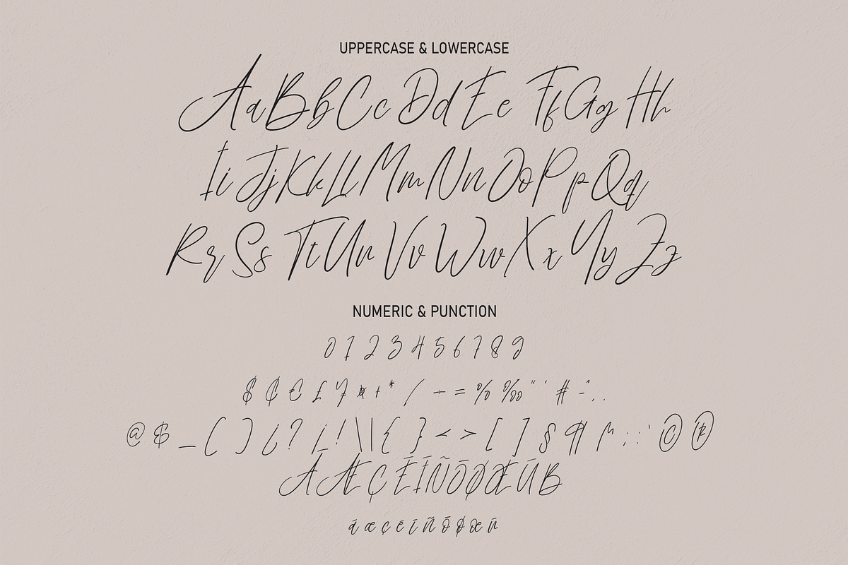 Brillian Signature | Script Font, a Script Font by Scratchones (Photo 7 of 8)