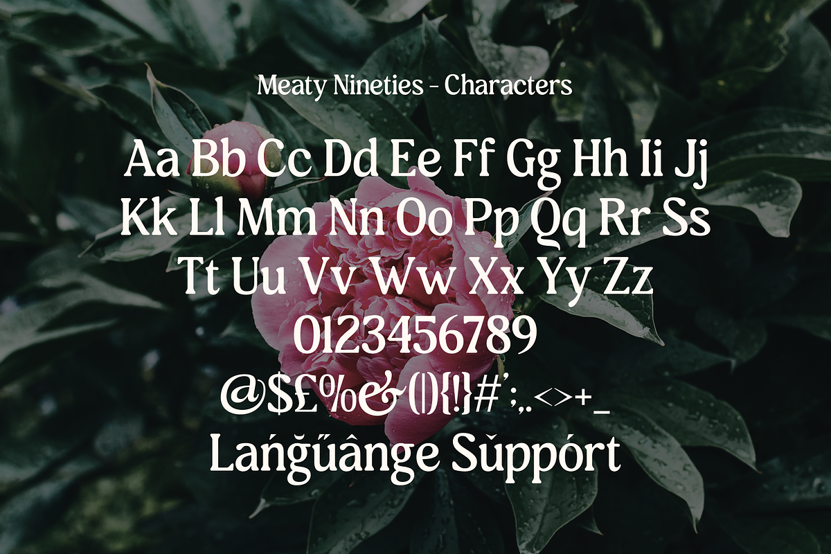 Meaty Nineties - Modern Retro, a Serif Font by Holyline Design (Photo 12 of 15)