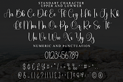 Welfare, a Handwritten Font by FreshTypeINK (Thumbnail 5 of 8)