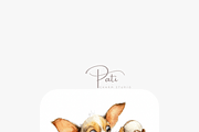 20 Quirky Baseball Dog Clipart, a Decorative Illustration by Pati Charm Studio (Thumbnail 6 of 8)