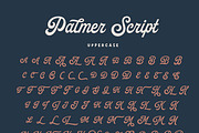 Palmer Script & Sans + Logo Template, a Script Font by Andrey Sharonov (Thumbnail 12 of 17)