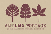 Autumn Foliage: 100 Leaves Pack, an Object Illustration by Veyla (Thumbnail 1 of 15)