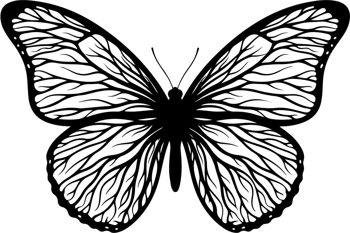 Elegant Butterfly Silhouette, an Object Graphic by Creativeshirt (Photo 7 of 17)
