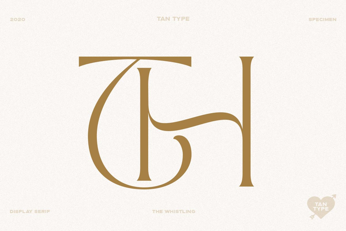 TAN - The Whistling, a Serif Font by TanType (Photo 23 of 35)