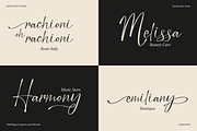 Bounthy Flow | Handwritten Script, a Script Font by Denustudios (Thumbnail 7 of 15)