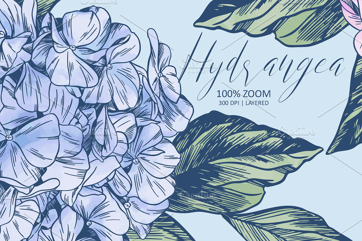 Hydrangea | Vector patterns set, a Pattern Graphic by Tanya Vollar (Photo 5 of 9)