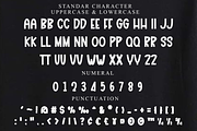 Book Nook, a Script Font by FreshTypeINK (Thumbnail 5 of 7)