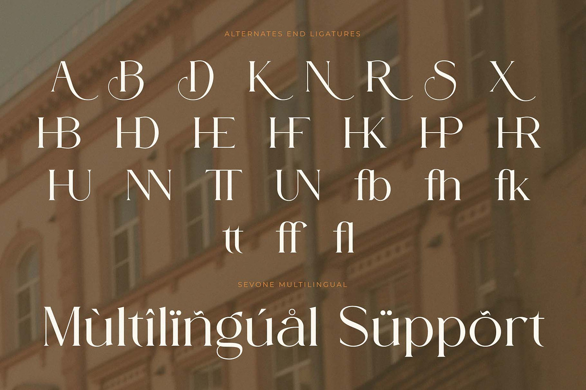 Sovelis - A New Modern Serif font, a Serif Font by GridlineType (Photo 9 of 10)